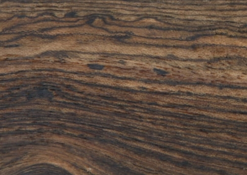 drewno bocote